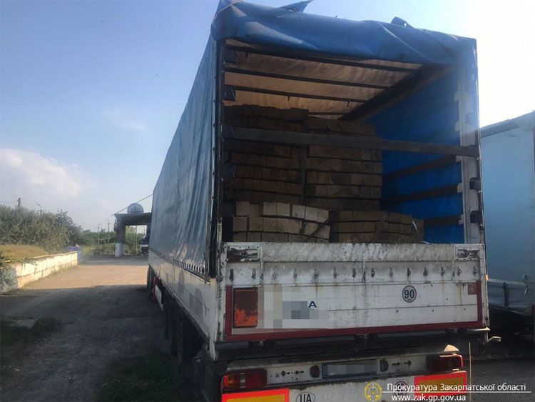 У Закарпатській області припинено схему незаконного вивезення деревини