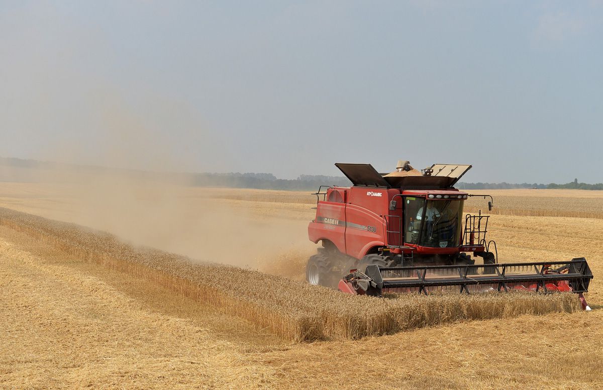 Українські аграрії намолотили 39,4 млн т зерна