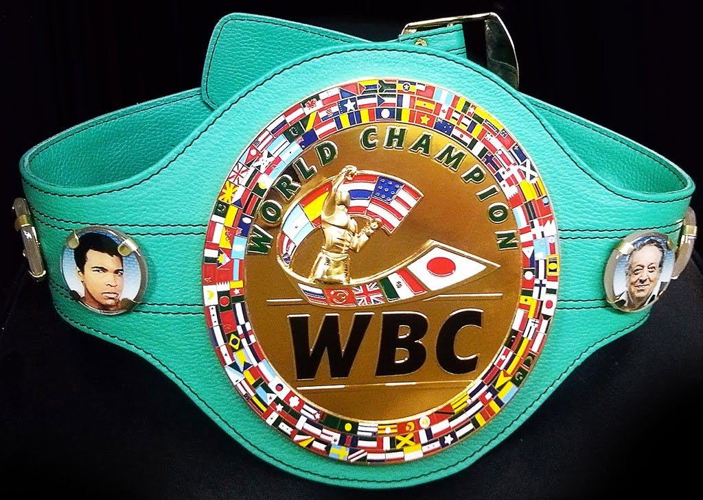 В Україні офіційно визнали WBC