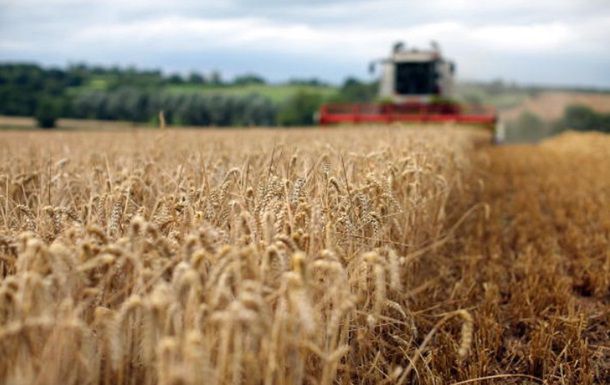На Дніпропетровщині зібрали рекордний за роки незалежності врожай