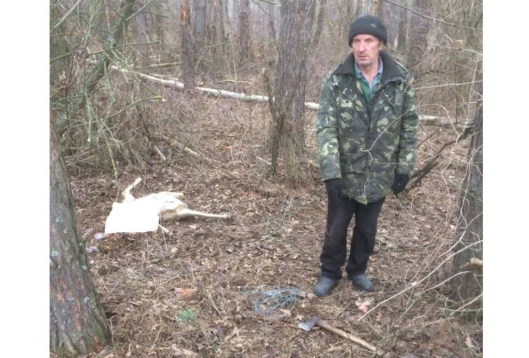 На Черкащині від рук браконьєра загинули косулі