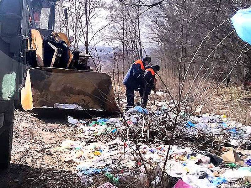 Поблизу селища Павлиш ліквідували несанкціоноване сміттєзвалище