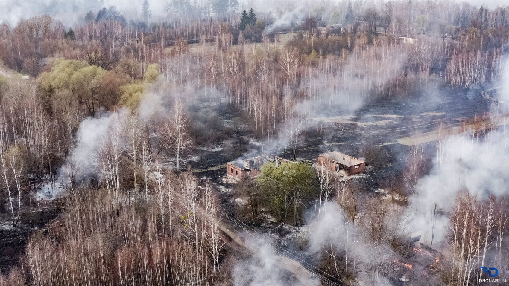 Пожежу у Чорнобильській зоні гасили рятувальники і... дощ