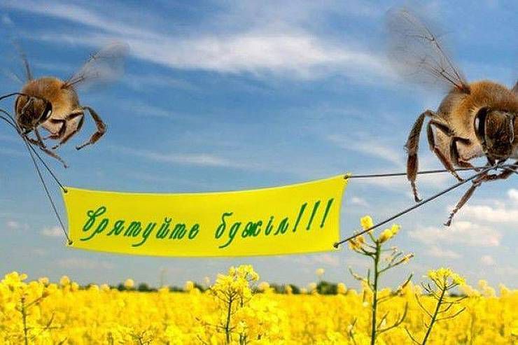 Голова Чернігівської ОДА став на захист бджіл