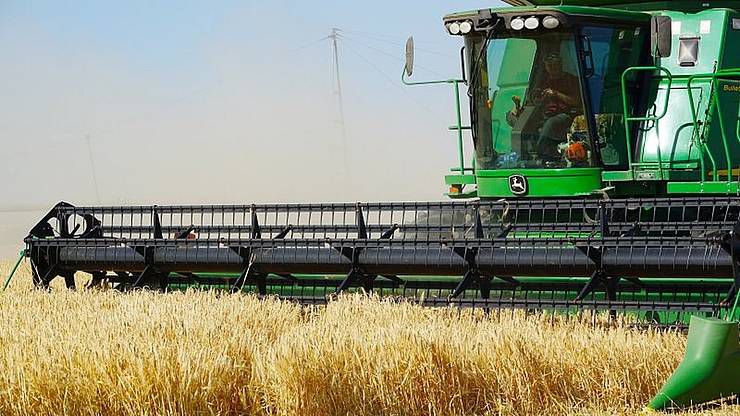 Аграрії сподіваються, що перекупникам не вдасться збити ціну на зерно
