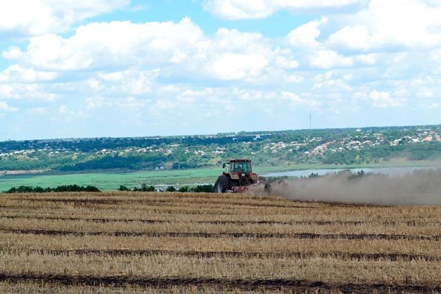 У Болградському районі на Одещині завершено збирання озимих зернових