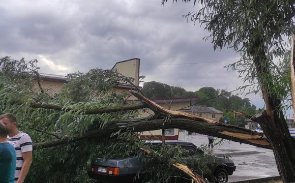 Волинь: Буревій зривав дахи і ламав дерева