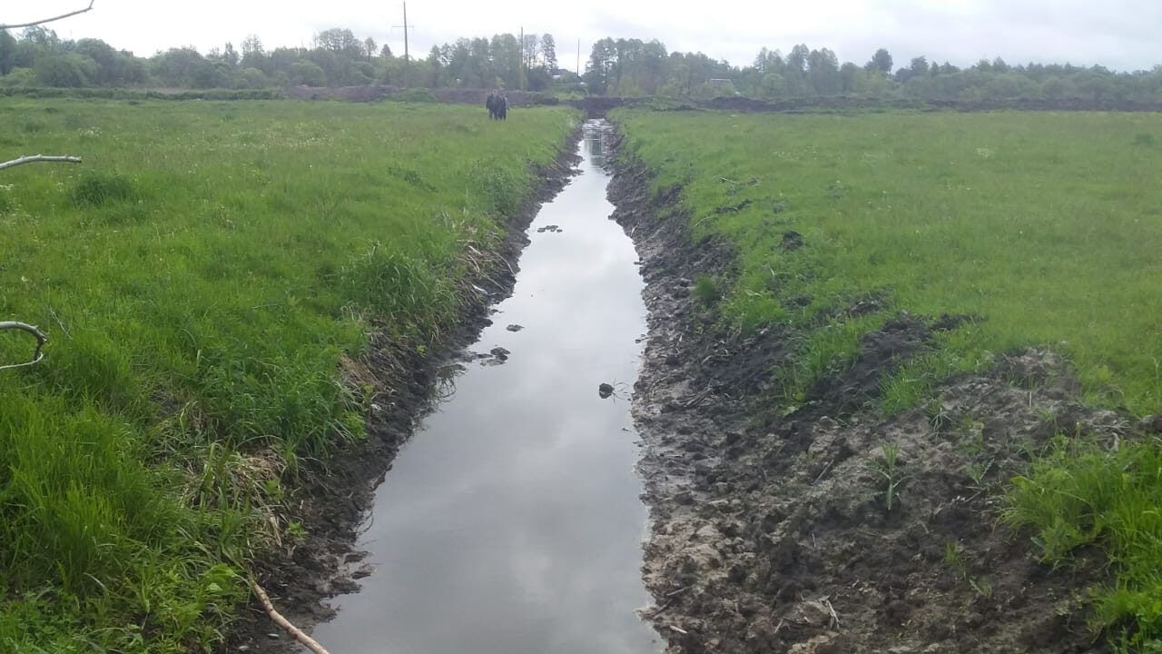 Чернігівщина: Нечистоти пливуть у Десну