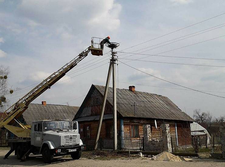 Енергетики в Рівненській області  облаштували гнізда для лелек