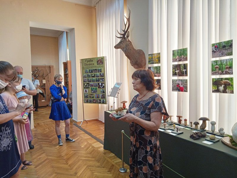 У Житомирському краєзнавчому музеї відкрили виставку грибів