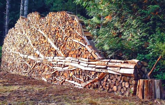 Закарпаття: Осінь прийшла — дбай про дрова!