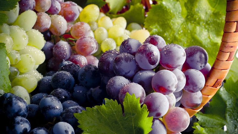 Херсонщина: Винограду менше — ціна вища