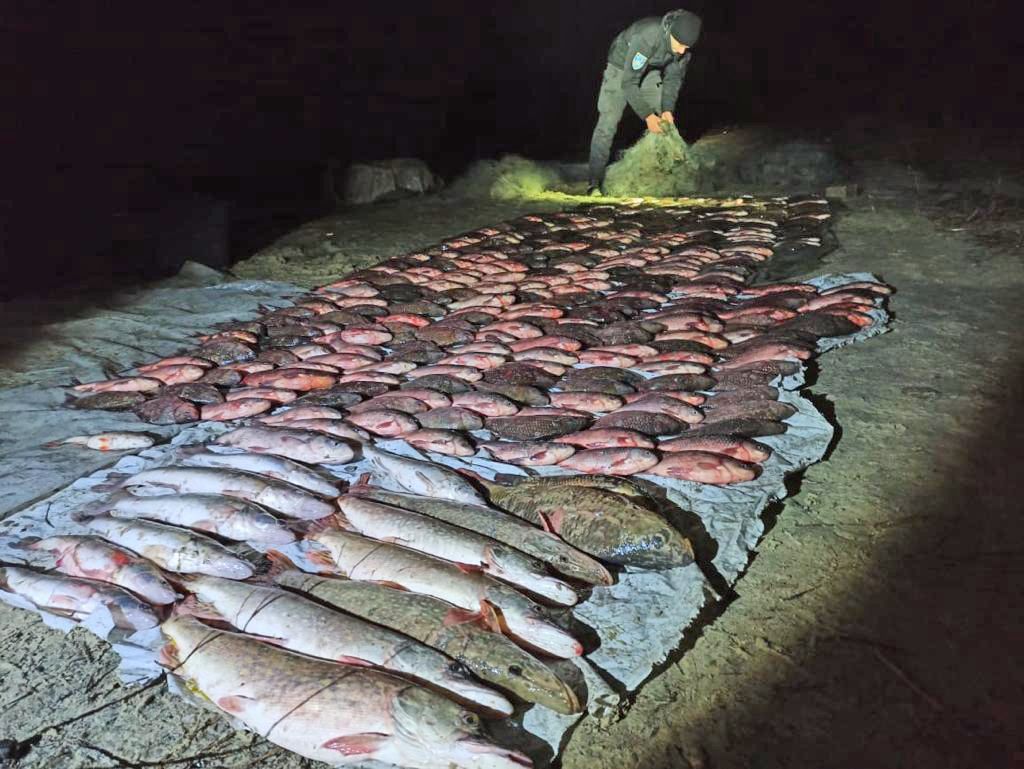 Херсонщина: Нищили рибу у місцях зимівлі