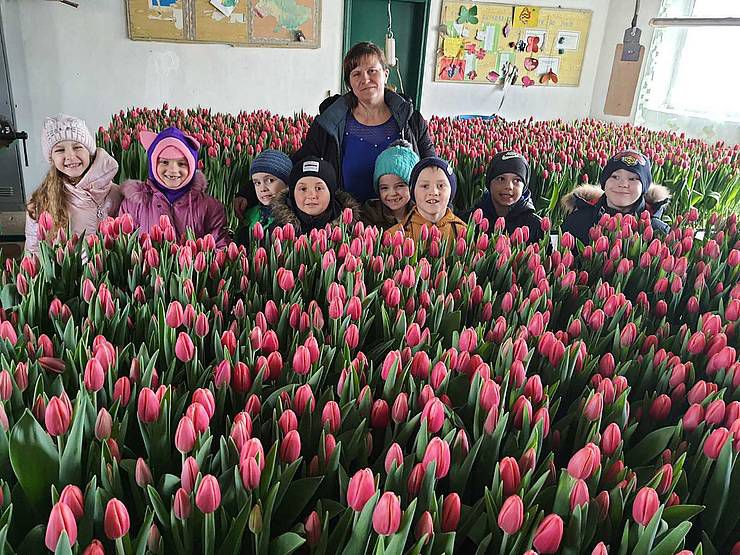 На Житомирщині ліцеїсти створили тюльпановий рай