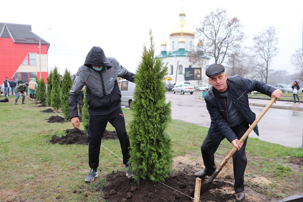 Житомирщина: Об’єднали громаду спільною алеєю