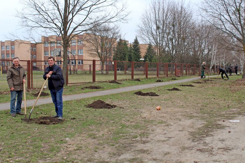 Полтавщина: Алея на честь героїв-чорнобильців