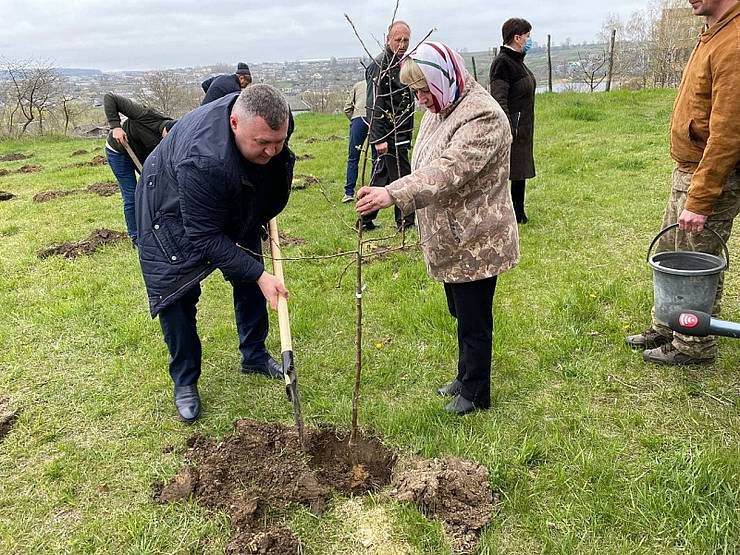 Вінниччина: У селі Мурафа заклали сад на честь захисників
