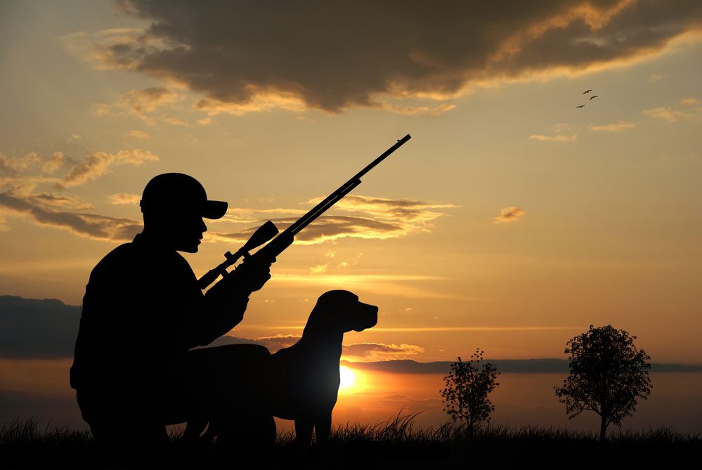 Херсонщина: Відтермінували полювання