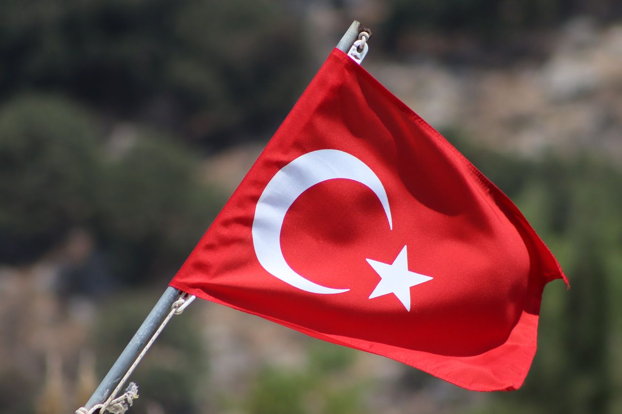 Туреччина: Артефакти виявили в каталогах іноземних аукціонних домів