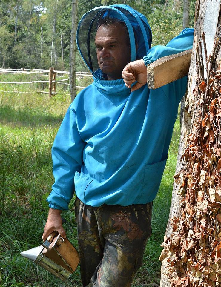 Поліське бортництво: як добувати солодкий продукт прямо з дерев