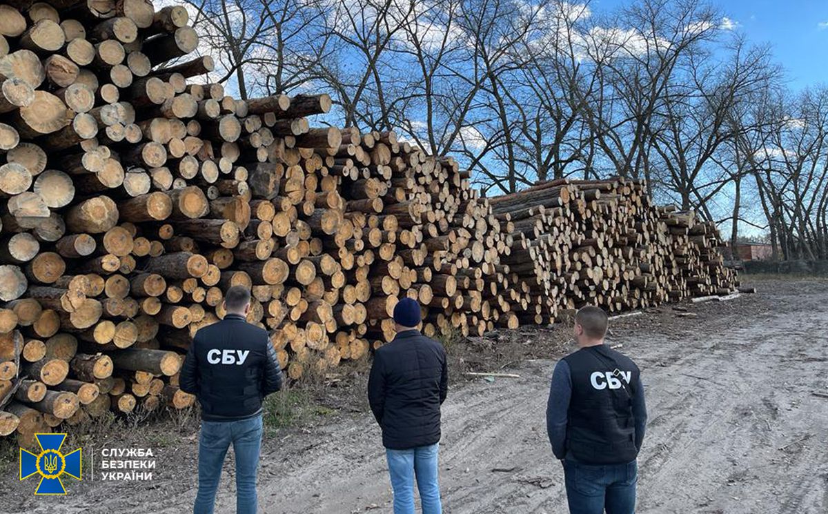 На Чернігівщині зупинили махінацію з деревиною