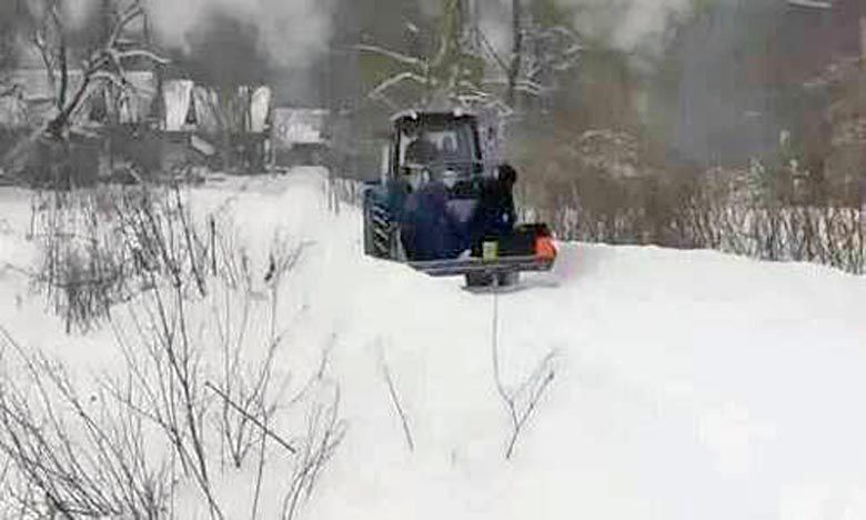 Сім мішків гречаної вовни 