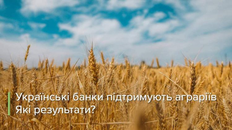 Українські банки підтримують аграріїв. Які результати?