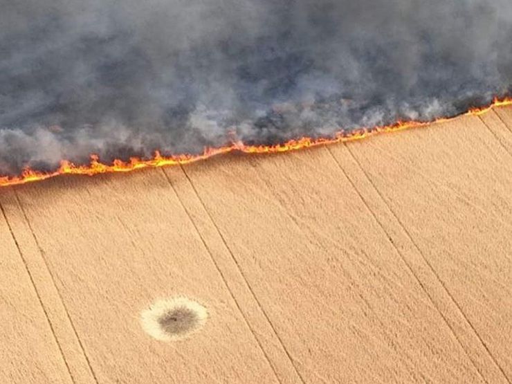 Херсонщина: Хліборобів закликають... спалити врожай