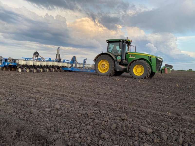 Українські аграрії засіяли вже 1 млн га озимого ріпаку