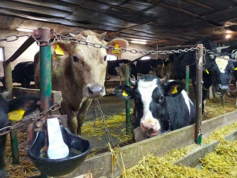Швейцарія виділила кошти на підтримку виробників молока в семи областях України