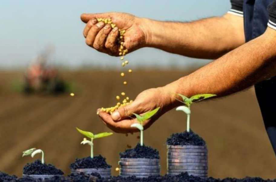 36 мільярдів гривень банківських кредитів отримали аграрії на розвиток господарств, —  Комітет з питань аграрної та земельної політики