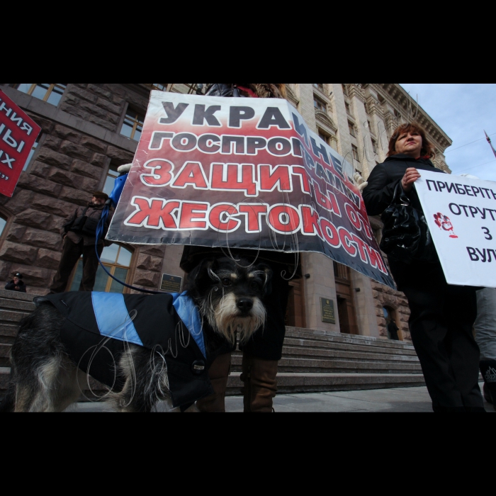 11 березня 2010 біля КМДА відбулась акція «Адміністрація смерті», організована громадською ініціативою «Форум допомоги тваринам», з приводу незаконного та варварського масового отруєння тварин у м. Києві.