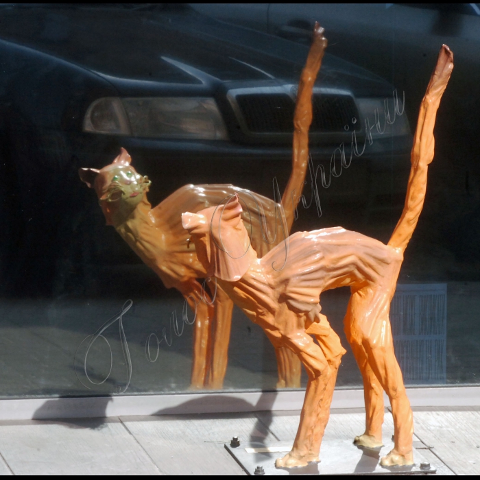 19 березня 2010 Київ поповнився ще однією казковою твариною. Нею став кіт, що злякався своєї тіні, роботи автора «Закоханих ліхтарів», що на Майдані Незалежності, Володимира Білоконя. Скульптура розташувалася на Бессарабській площі.