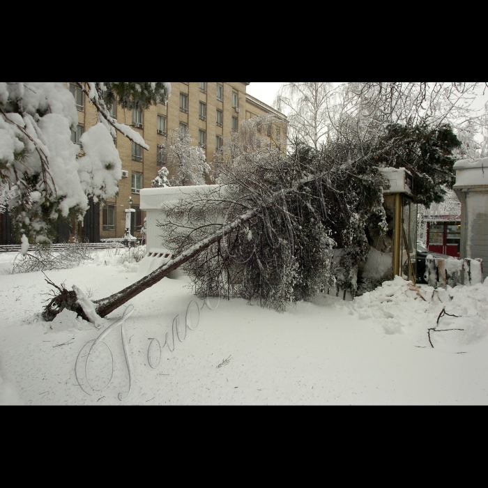 29 грудня 2009 Київ, сильний снігопад.