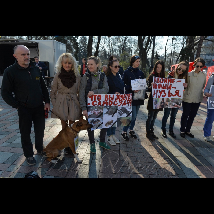 4 квітня 2017 пікети біля Верховної Ради України.
Проти жорстокого поводження з тваринами.