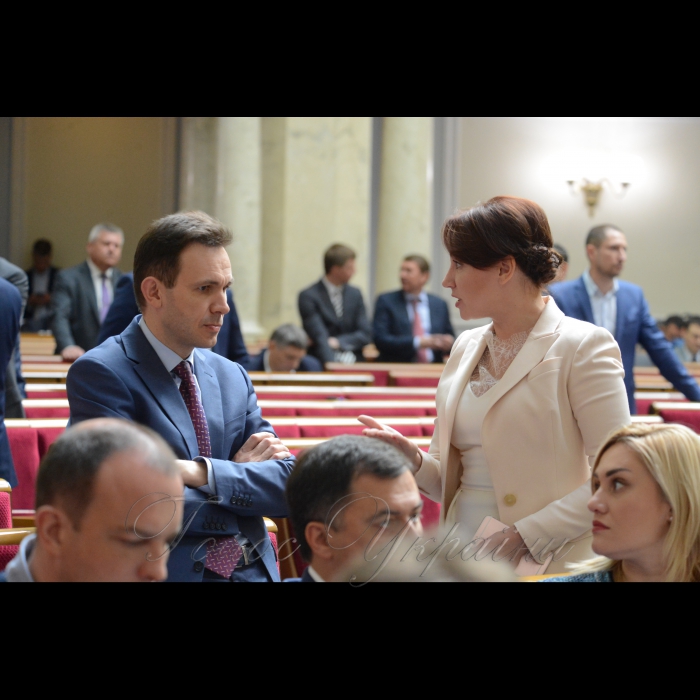 11 квітня 2017 пленарне засідання Верховної Ради України.
Олег Лаврик, Ірина Сисоєнко - Сам.