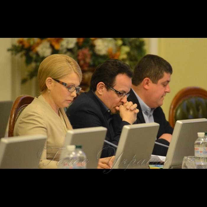 22 травня 2017 засідання погоджувальної ради у ВР.
Юлія Тимошенко (Б), Олег Березюк (САМ), Максим Бурбак (НФ).