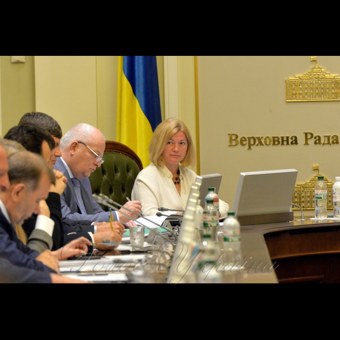 21 травня 2018 погоджувальна рада Верховної Ради України. Ірина Геращенко-1 заст Голови ВР.