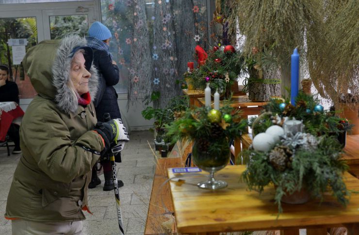 У Національному ботанічному саду імені М.М.Гришка на підтримку мужніх воїнів ЗСУ відбулася виставка-ярмарок «Різдвяний вернісаж у Ботанічному саду».