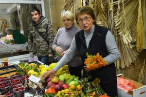 У Національному ботанічному саду імені М. М. Гришка НАН України відбулася благодійна виставка-ярмарок