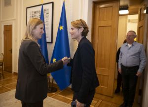 Заступниця Голови Верховної Ради України Олена Кондратюк зустрілася з французькою журналісткою і  письменницею Каролін Фурест 