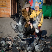 Голуби миру