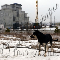 Міфи про Чорнобильську зону потребують розвінчання