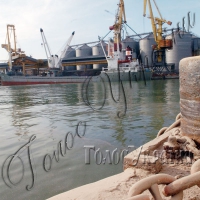 «Золоті тонни» морських портів держави