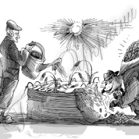 Посівна на чесному слові