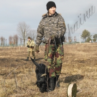 Багіра шукає міни