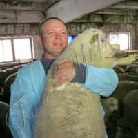 Тисячі гектарів залишаться незасіяними