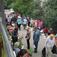 Перемога над вуличними торгівцями
