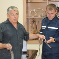 ...вчилися протистояти повзучим гадам