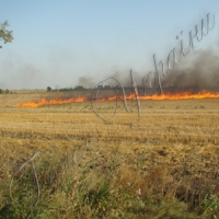 Від степових пожеж  до міжнародного скандалу